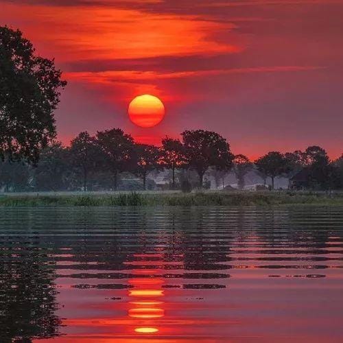 Catriona Gray's avatar